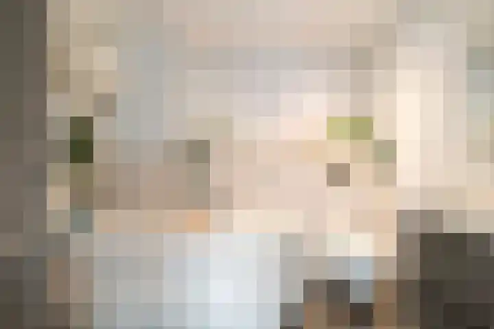 Laurens Baecklaan 12 Beverwijk thumbnail 19