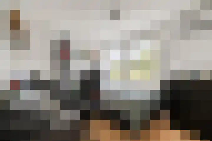 Laurens Baecklaan 12 Beverwijk thumbnail 23