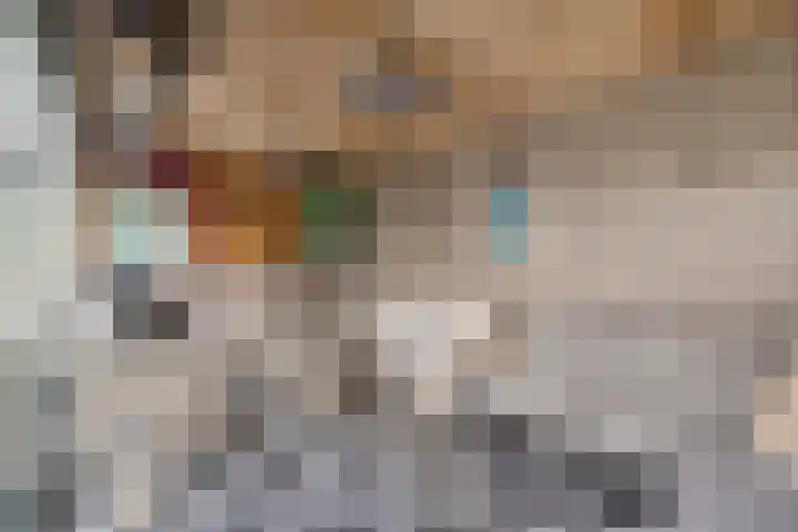 Laurens Baecklaan 12 Beverwijk thumbnail 27
