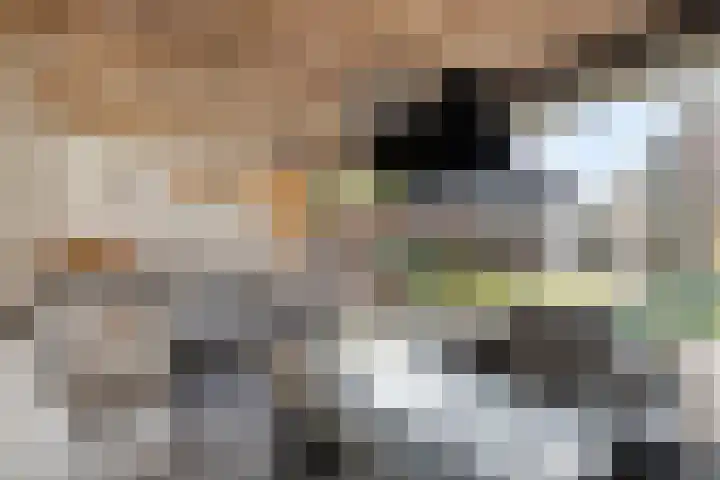 Laurens Baecklaan 12 Beverwijk thumbnail 28