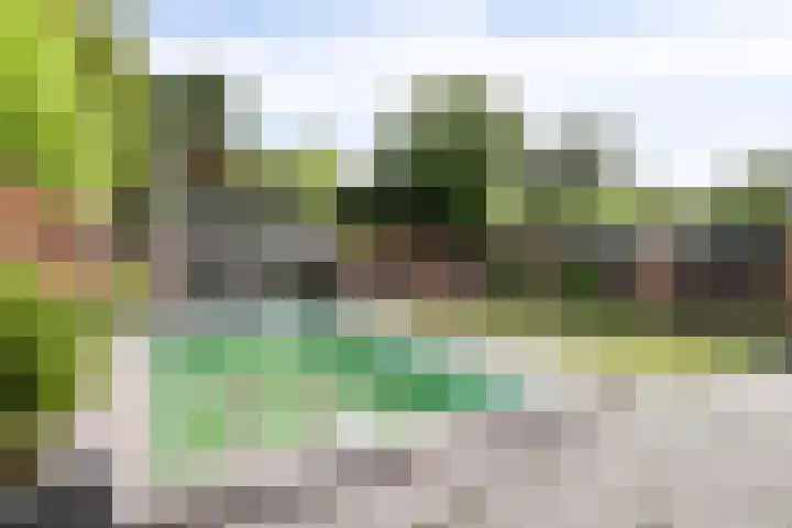 Laurens Baecklaan 12 Beverwijk thumbnail 30