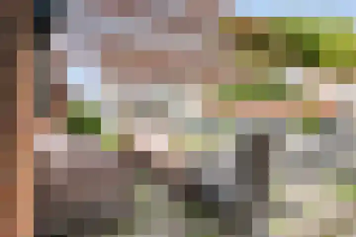Laurens Baecklaan 12 Beverwijk thumbnail 32