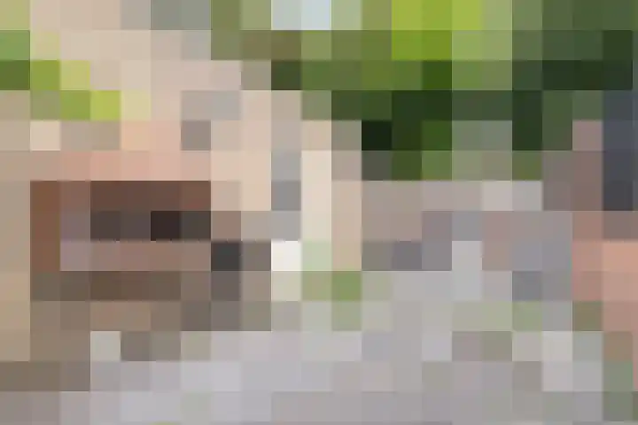Laurens Baecklaan 12 Beverwijk thumbnail 33