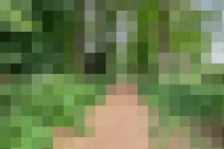 Laurens Baecklaan 12 Beverwijk thumbnail 35