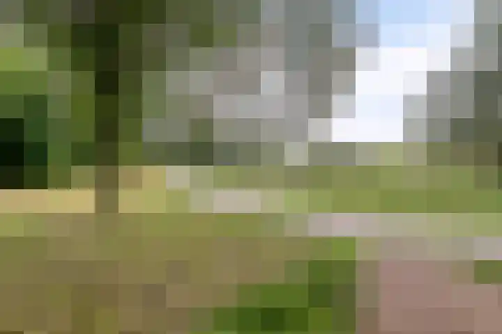 Laurens Baecklaan 12 Beverwijk thumbnail 36