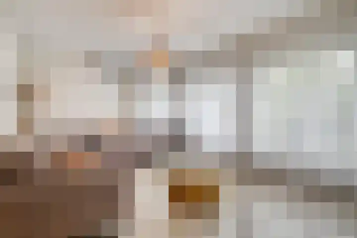 Laurens Baecklaan 12 Beverwijk thumbnail 6