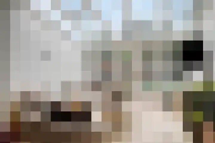 Laurens Baecklaan 12 Beverwijk thumbnail 8
