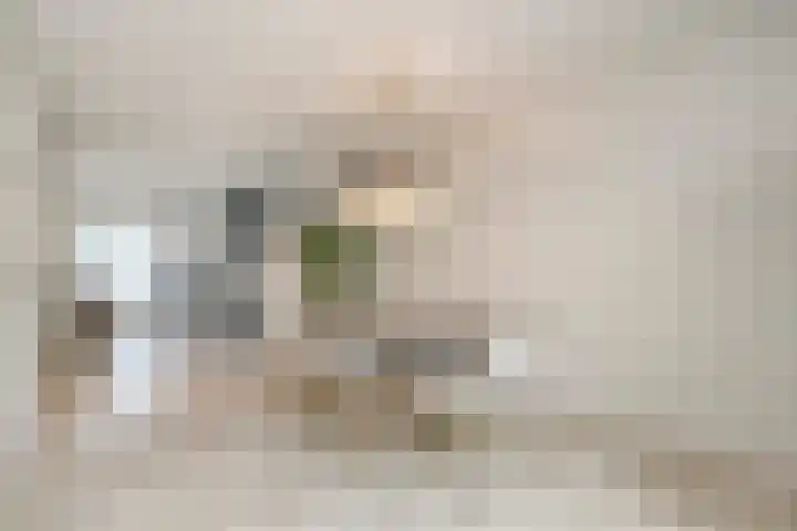 Laurens Baecklaan 12 Beverwijk thumbnail 9