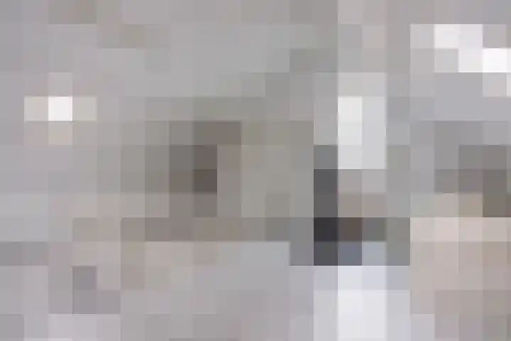 Laurens Bogtmanstraat 14 Hengelo thumbnail 17