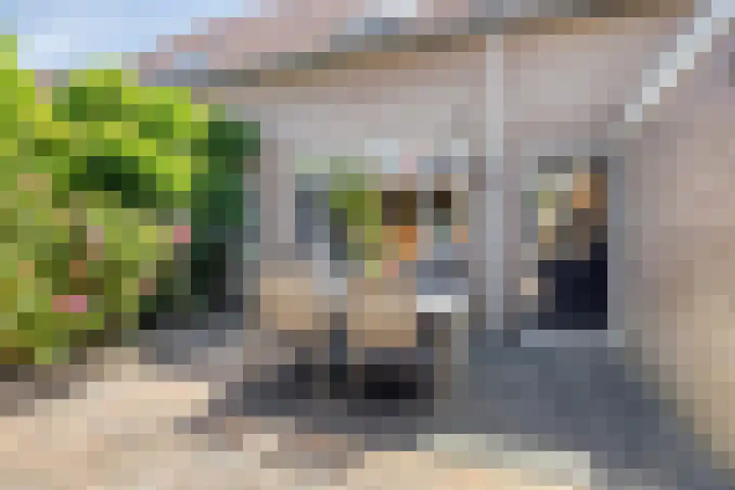 Laurens Bogtmanstraat 19 Hengelo thumbnail 24