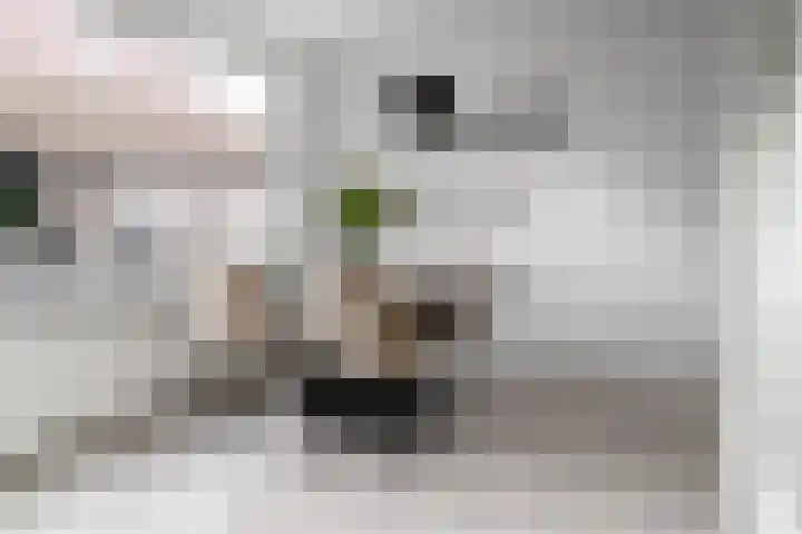 Laurens Bogtmanstraat 48 Hengelo thumbnail 10