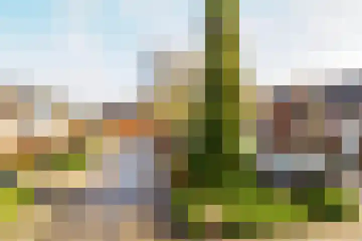 Laurens Bogtmanstraat 48 Hengelo thumbnail 41