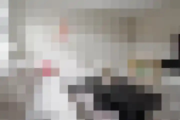 Laurens Bogtmanstraat 48 Hengelo thumbnail 7
