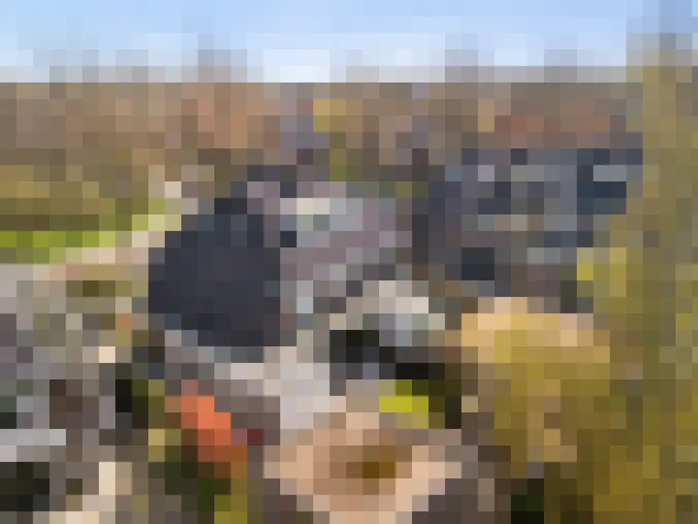 Laurens Costerplein 18 Amersfoort thumbnail 35