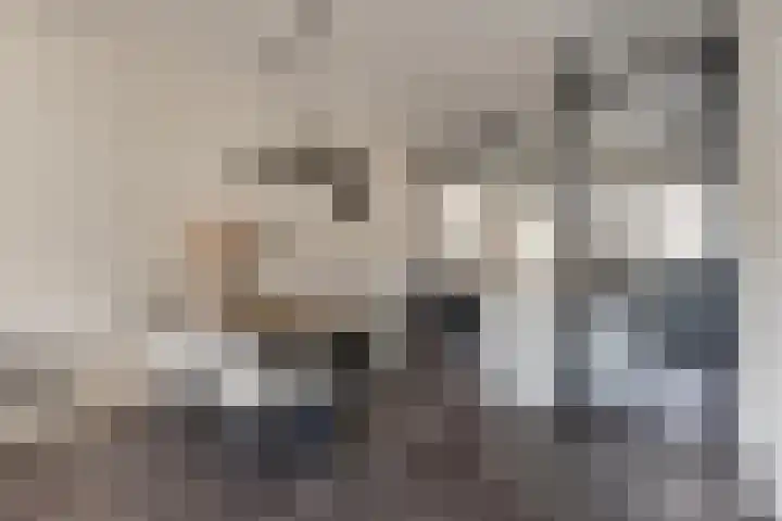 Laurens Costerstraat 7 Deurne thumbnail 11