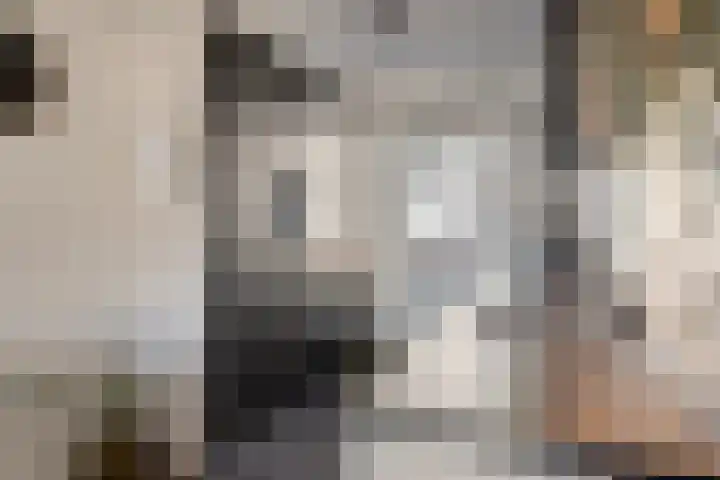 Laurens Costerstraat 7 Deurne thumbnail 12