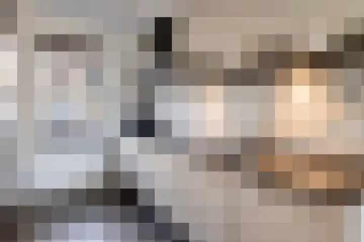 Laurens Costerstraat 7 Deurne thumbnail 13