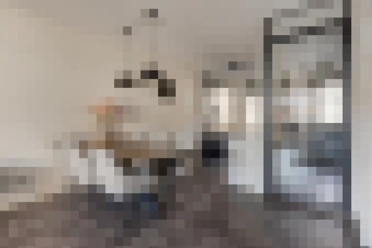 Laurens Costerstraat 7 Deurne thumbnail 14