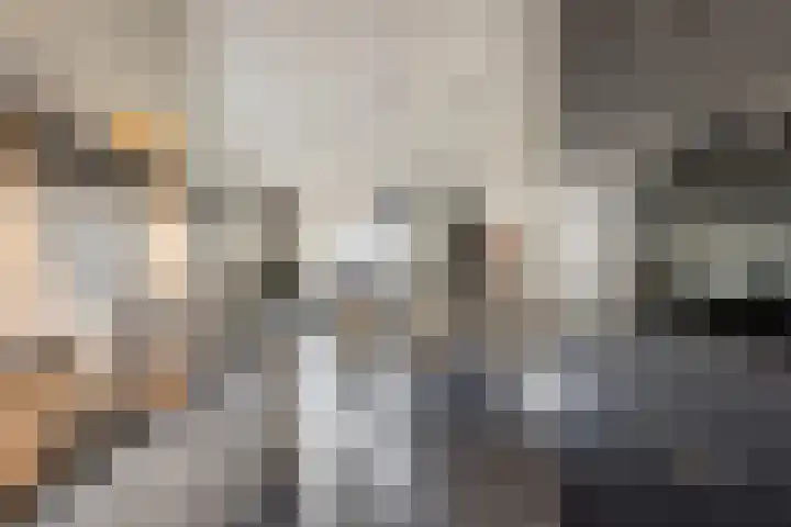 Laurens Costerstraat 7 Deurne thumbnail 15