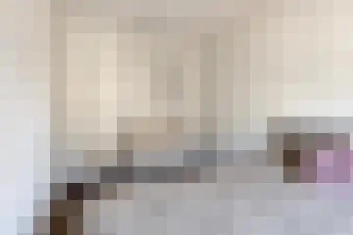 Laurens Costerstraat 7 Deurne thumbnail 20