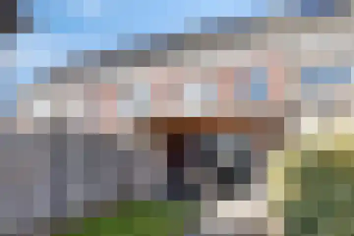 Laurens Costerstraat 7 Deurne thumbnail 27