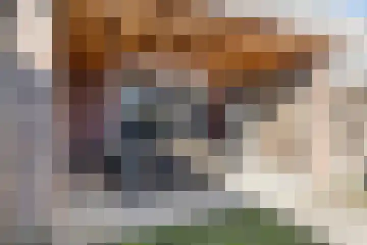 Laurens Costerstraat 7 Deurne thumbnail 28