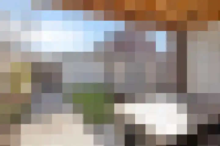 Laurens Costerstraat 7 Deurne thumbnail 29