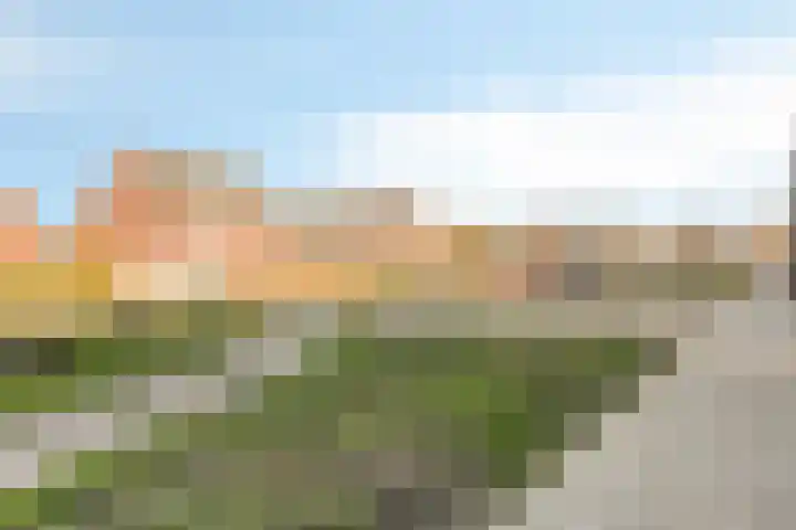 Laurens Costerstraat 7 Deurne thumbnail 33