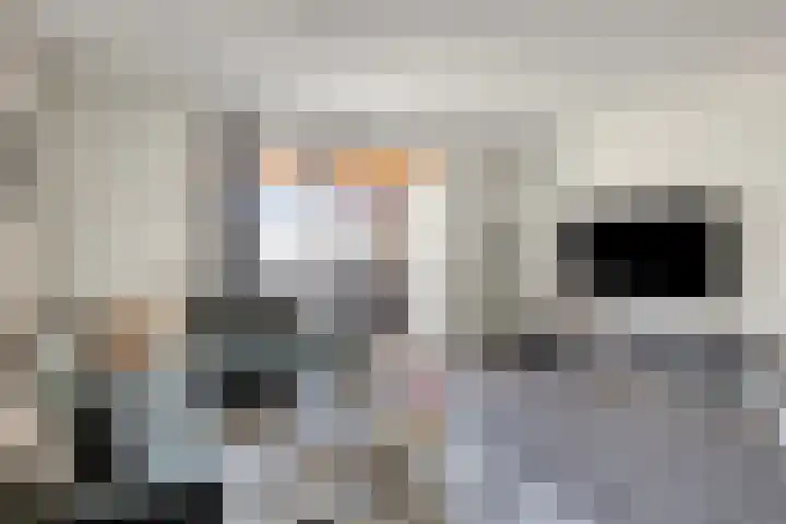 Laurens Costerstraat 7 Deurne thumbnail 6