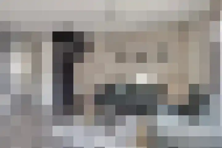 Laurens Costerstraat 7 Deurne thumbnail 9