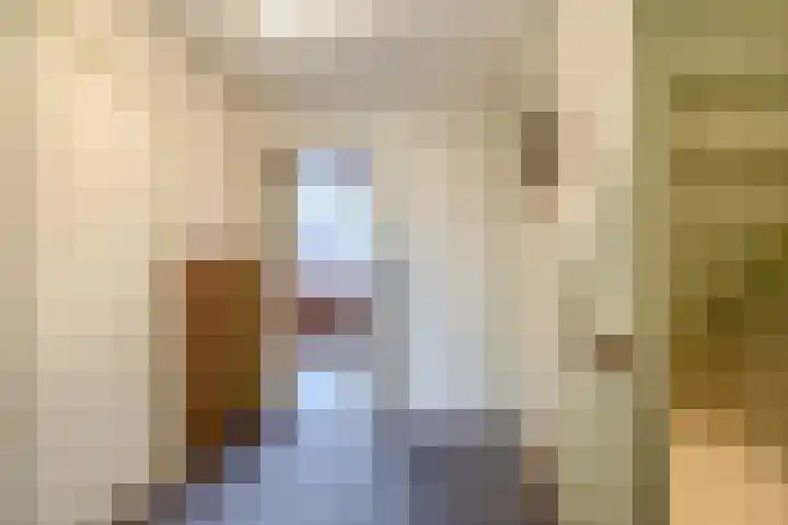 Laurens Janszn Costerstraat 10 Krommenie thumbnail 18