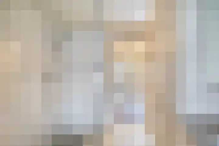 Laurens Janszn Costerstraat 10 Krommenie thumbnail 22