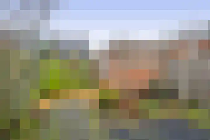 Laurens Janszn Costerstraat 10 Krommenie thumbnail 34