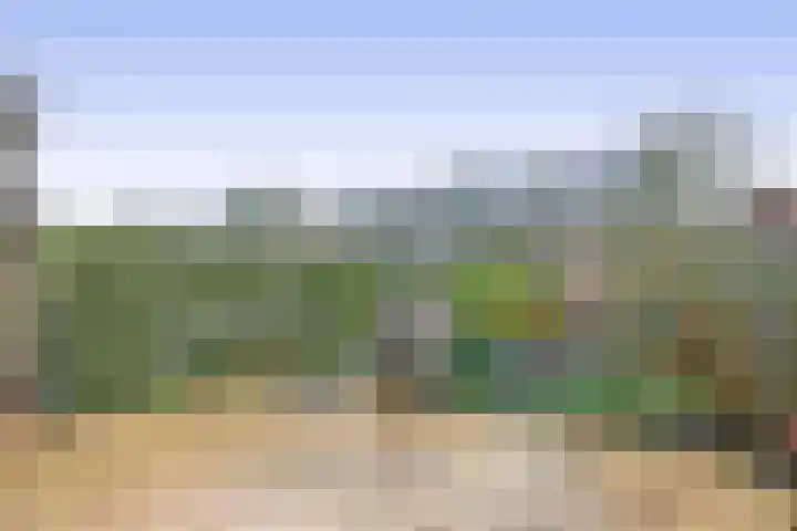 Laurens Janszn Costerstraat 10 Krommenie thumbnail 36