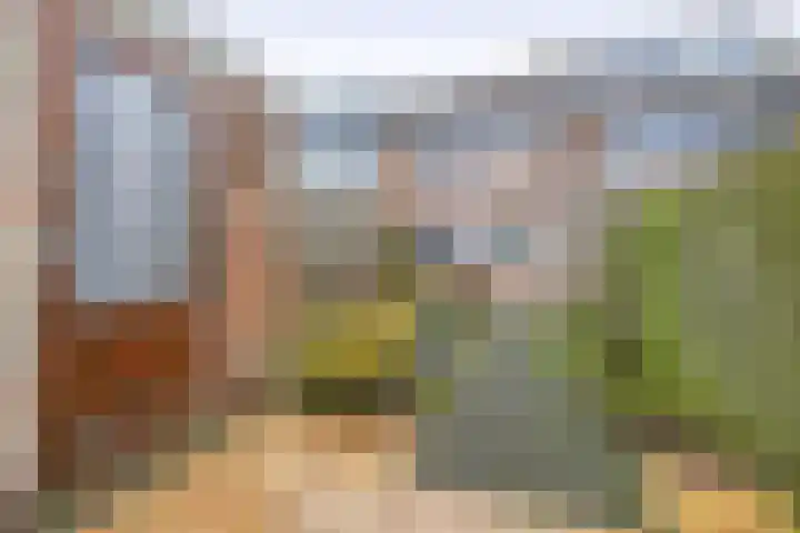 Laurens Janszn Costerstraat 10 Krommenie thumbnail 37