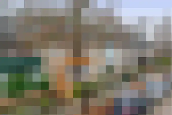 Laurens Janszn Costerstraat 10 Krommenie thumbnail 38