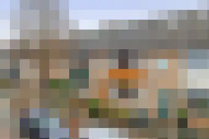 Laurens Janszn Costerstraat 10 Krommenie thumbnail 39