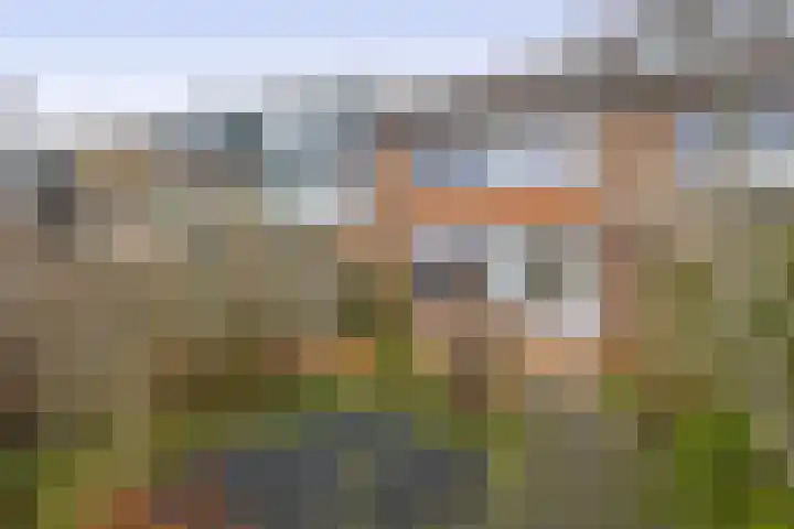 Laurens Janszn Costerstraat 10 Krommenie thumbnail 4
