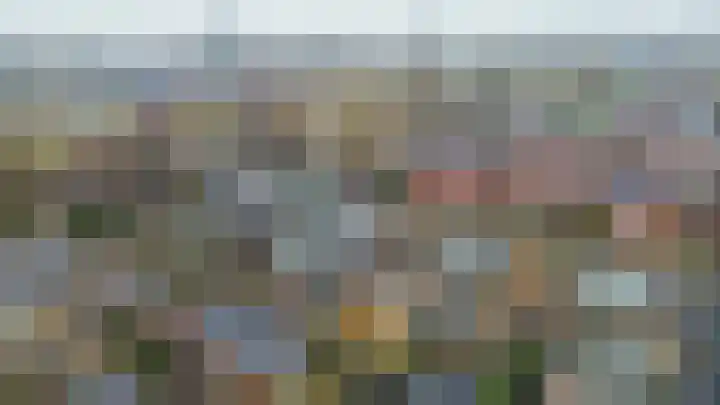 Laurens Janszn Costerstraat 10 Krommenie thumbnail 41