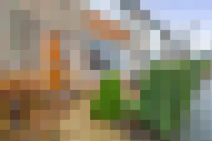 Laurens Janszn Costerstraat 10 Krommenie thumbnail 6