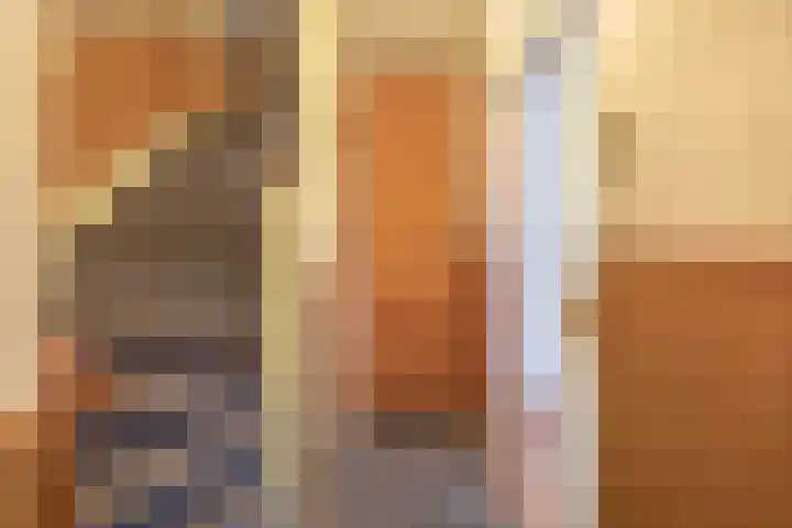 Laurens Janszn Costerstraat 10 Krommenie thumbnail 7