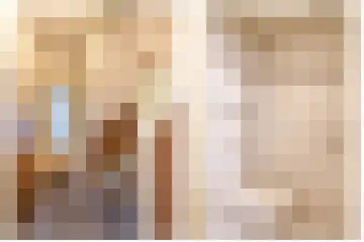 Laurens Janszn Costerstraat 10 Krommenie thumbnail 8