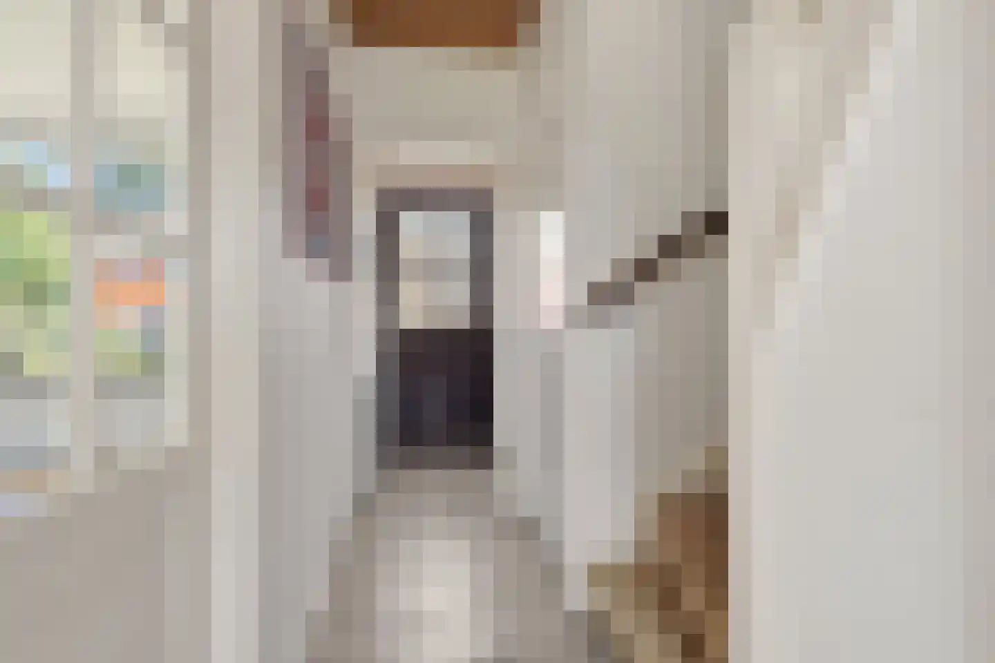 Laurens Janszn Costerstraat 22 Krommenie thumbnail 15