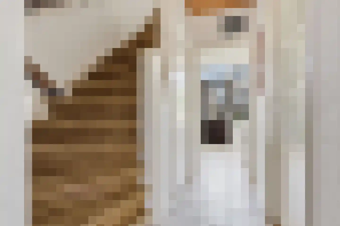 Laurens Janszn Costerstraat 22 Krommenie thumbnail 16