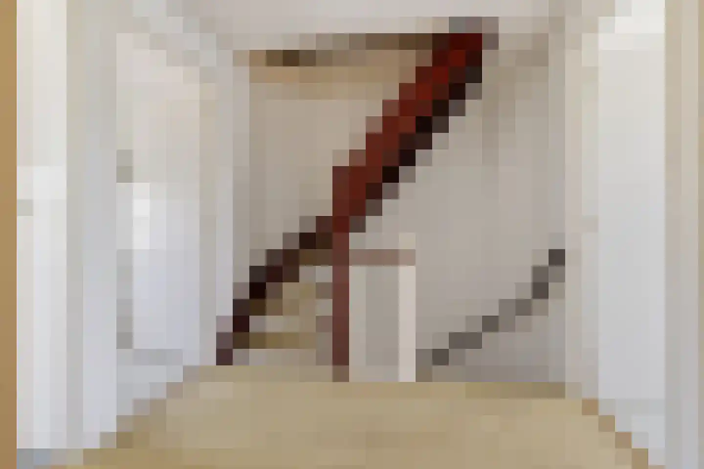 Laurens Janszn Costerstraat 22 Krommenie thumbnail 18