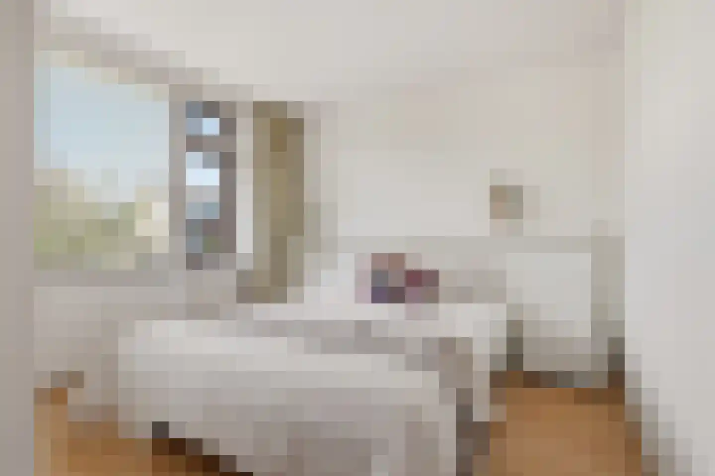 Laurens Janszn Costerstraat 22 Krommenie thumbnail 19