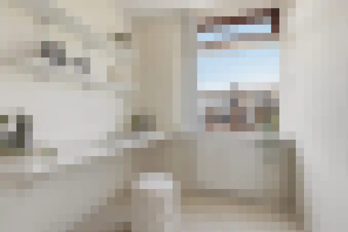 Laurens Janszn Costerstraat 22 Krommenie thumbnail 21