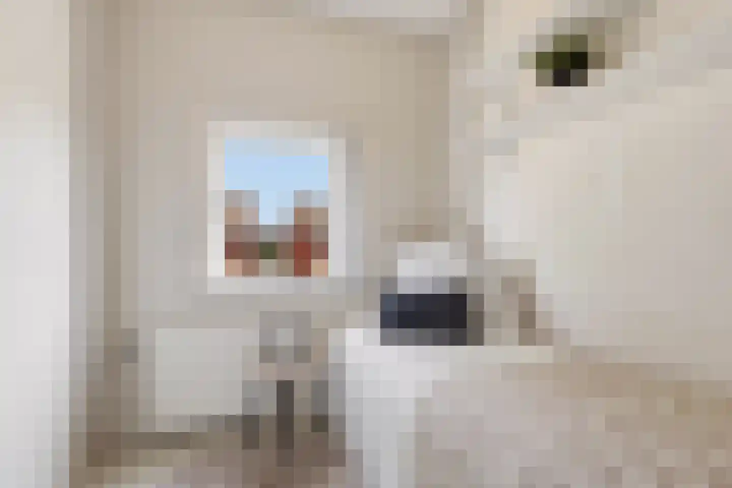 Laurens Janszn Costerstraat 22 Krommenie thumbnail 23