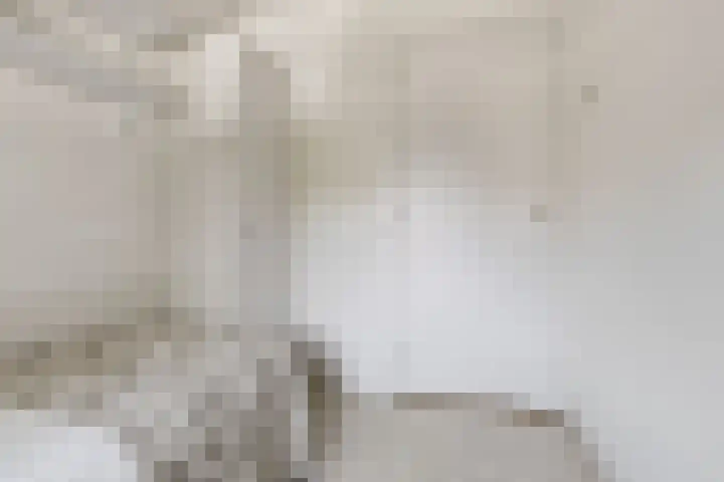 Laurens Janszn Costerstraat 22 Krommenie thumbnail 24