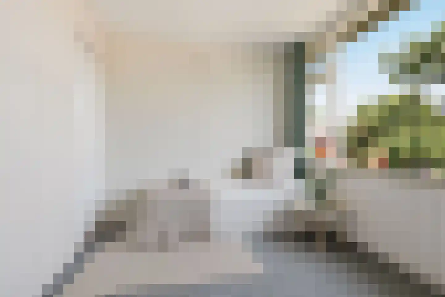 Laurens Janszn Costerstraat 22 Krommenie thumbnail 25